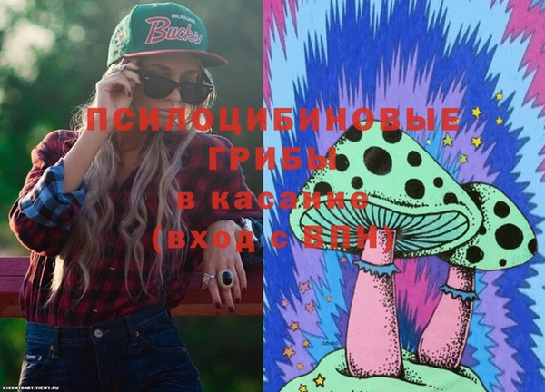эйфоретик Балахна