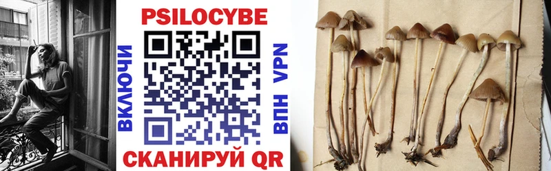 где найти Белово Псилоцибиновые грибы MAGIC MUSHROOMS