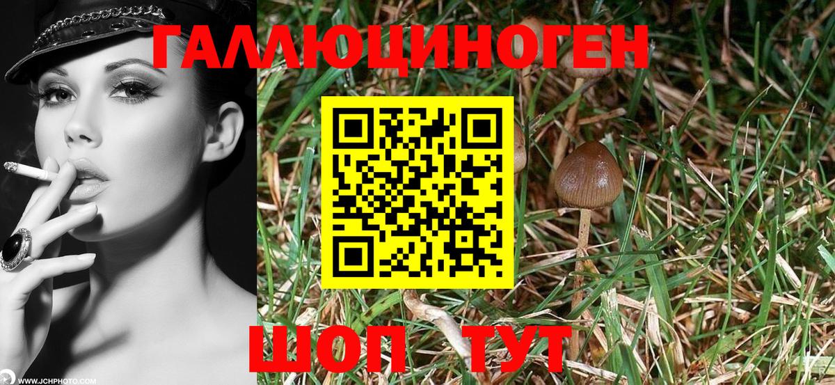 Белово  Псилоцибиновые грибы Magic Shrooms  Вход с VPN 